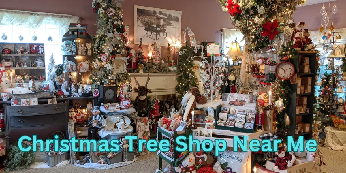 Christmas Tree Shop Near Me