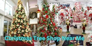 Christmas Tree Shop Near Me