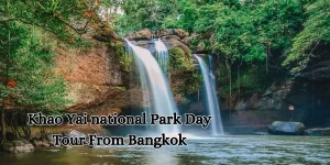 Khao Yai national Park Day Tour From Bangkok