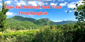 khao Yai National Park Tour From Bangkok (1)