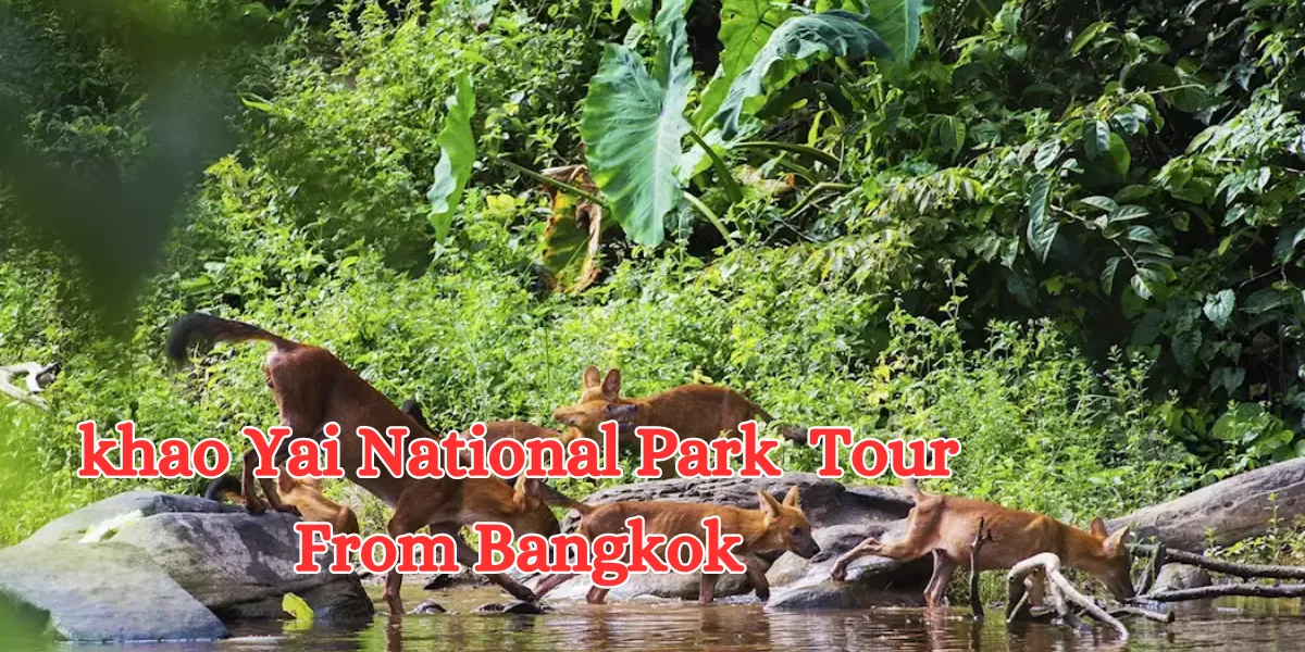 Khao Yai National Park Tour From Bangkok