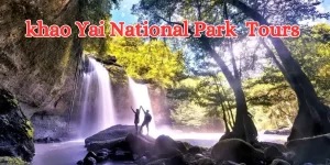 contact khao yai national park tours