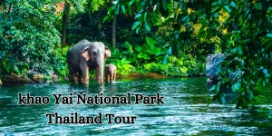 khao yai national park thailand tour (1)