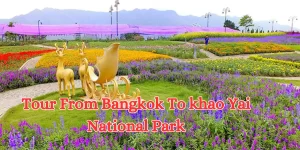 tour from bangkok to khao yai national park (1)